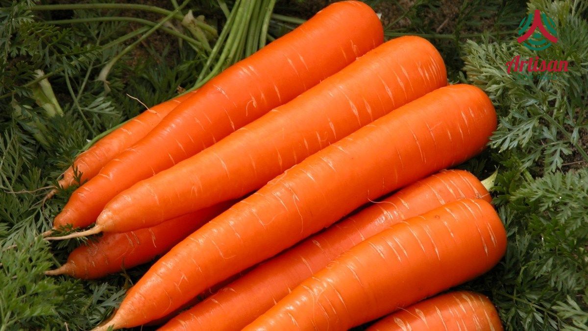 Cách chọn cà rốt tươi ngon 
